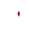 marca de agua 3